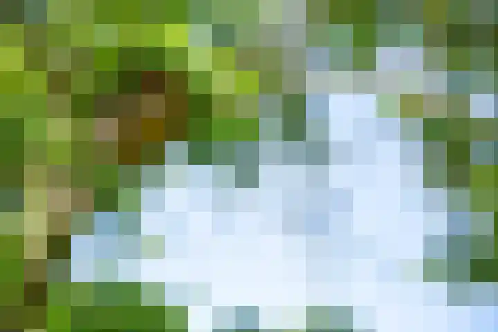 Apenhorsterweg 2 De Heurne thumbnail 84