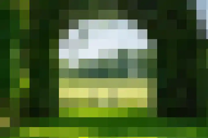 Apenhorsterweg 2 De Heurne thumbnail 85
