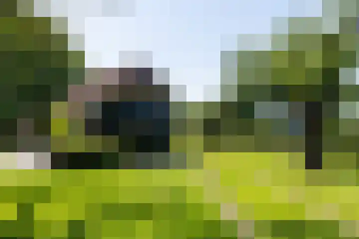 Apenhorsterweg 2 De Heurne thumbnail 86