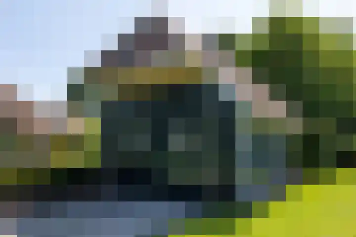 Apenhorsterweg 2 De Heurne thumbnail 87