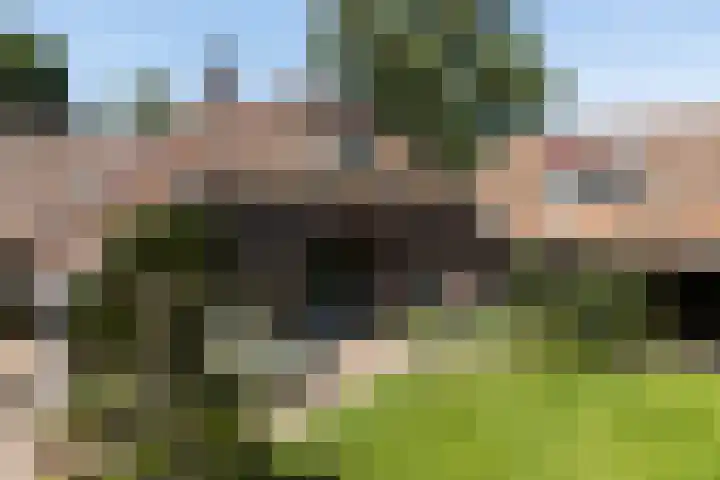Apenhorsterweg 2 De Heurne thumbnail 89