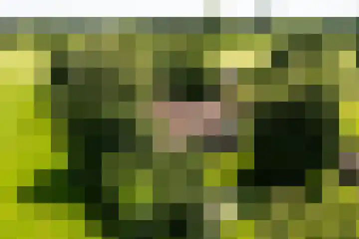 Apenhorsterweg 2 De Heurne thumbnail 9