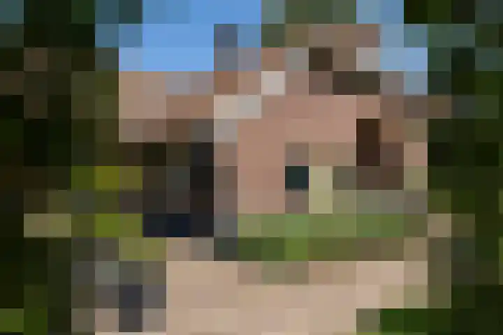 Apenhorsterweg 2 De Heurne thumbnail 90