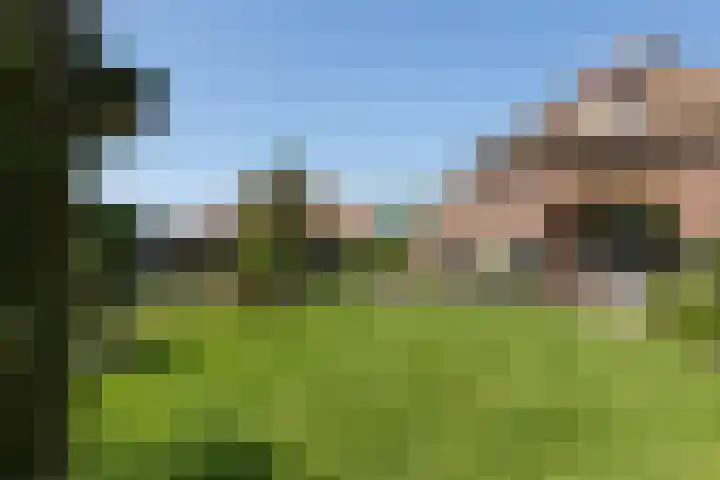 Apenhorsterweg 2 De Heurne thumbnail 91