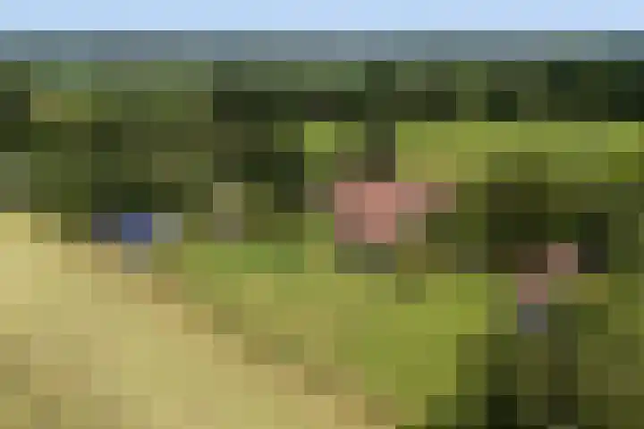Apenhorsterweg 2 De Heurne thumbnail 93