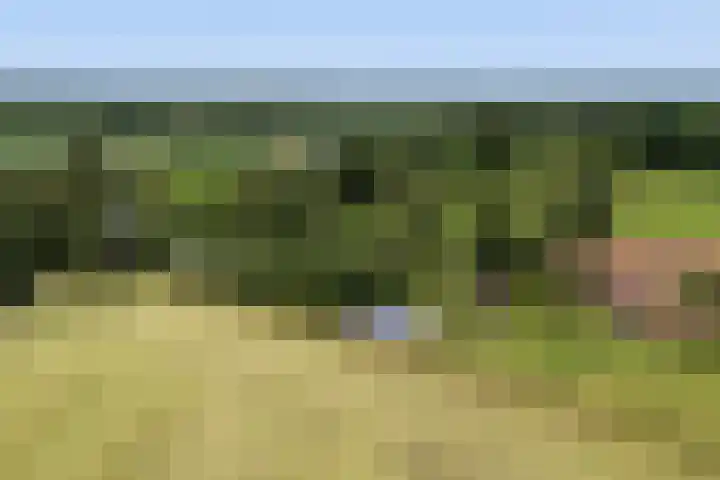 Apenhorsterweg 2 De Heurne thumbnail 95