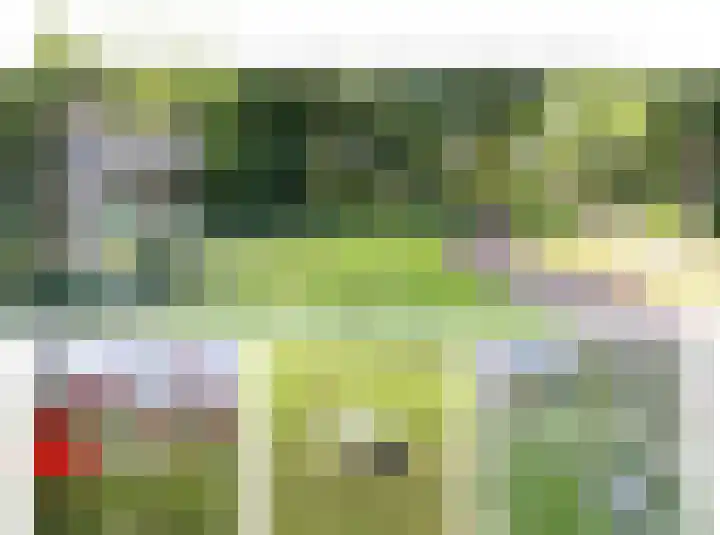 Apenhorsterweg 2 De Heurne thumbnail 96
