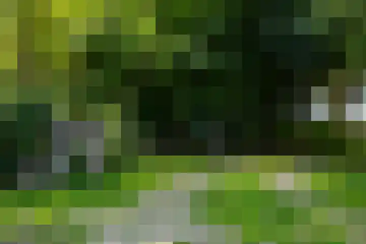 Apenhorsterweg 2 De Heurne thumbnail 97