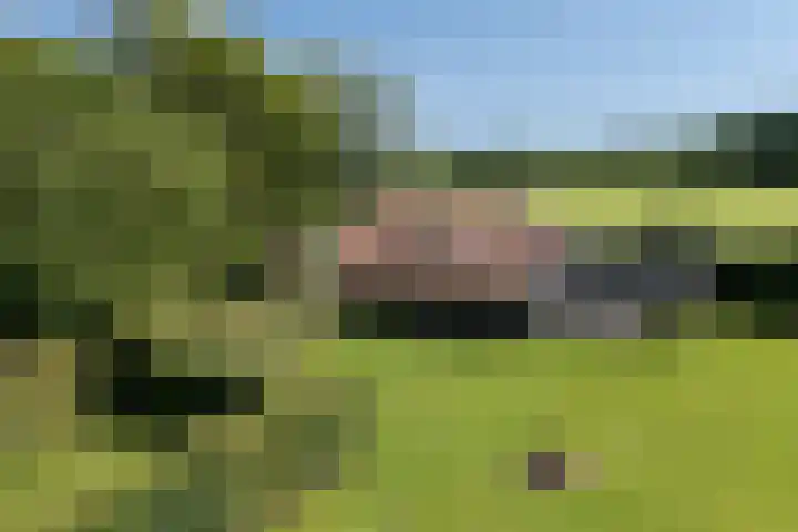 Apenhorsterweg 2 De Heurne thumbnail 98