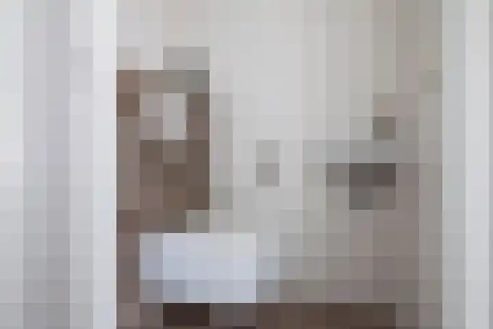 Apenijnenstraat 2 Woerden thumbnail 13