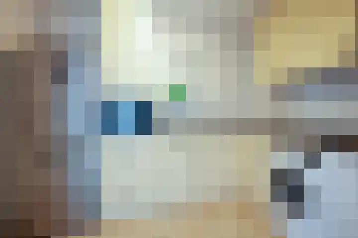 Apenijnenstraat 2 Woerden thumbnail 14
