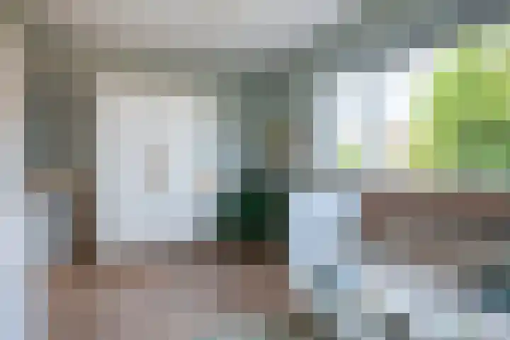 Apenijnenstraat 2 Woerden thumbnail 27