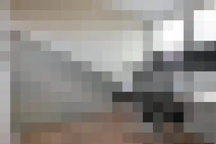Apenijnenstraat 2 Woerden thumbnail 32
