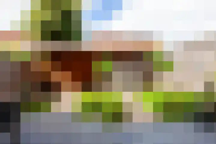 Apenijnenstraat 2 Woerden thumbnail 34