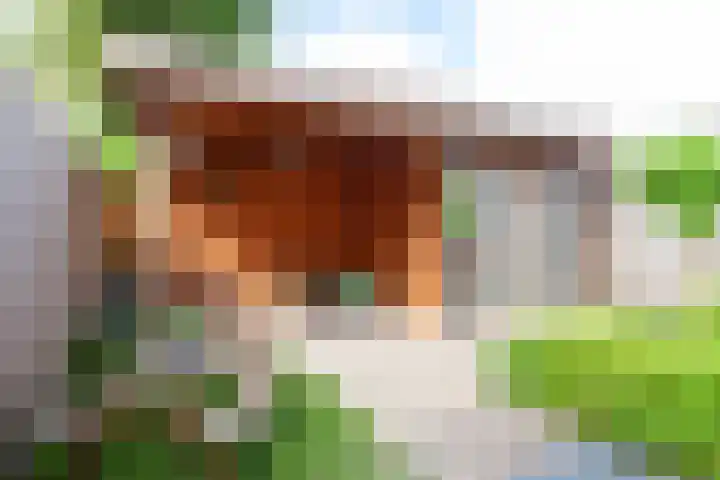 Apenijnenstraat 2 Woerden thumbnail 36