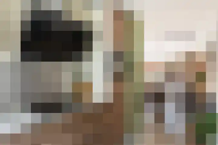 Apenijnenstraat 22 Woerden thumbnail 10