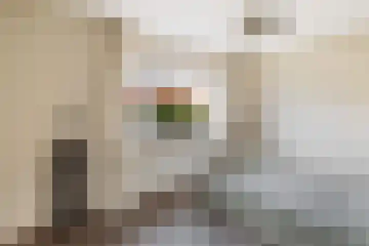 Apenijnenstraat 22 Woerden thumbnail 14