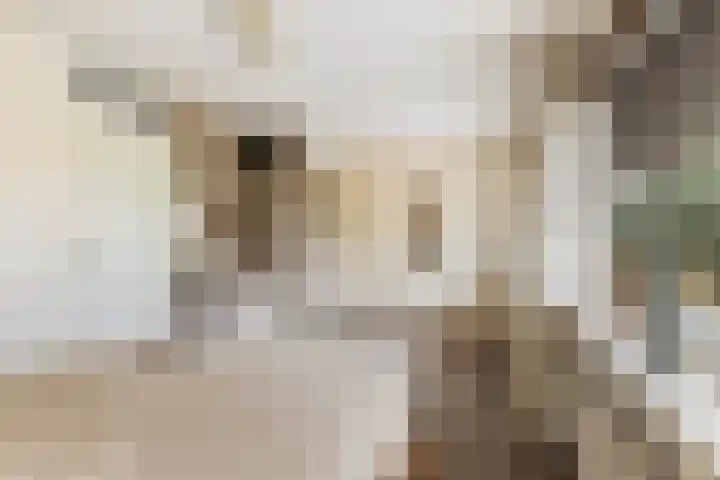 Apenijnenstraat 22 Woerden thumbnail 16