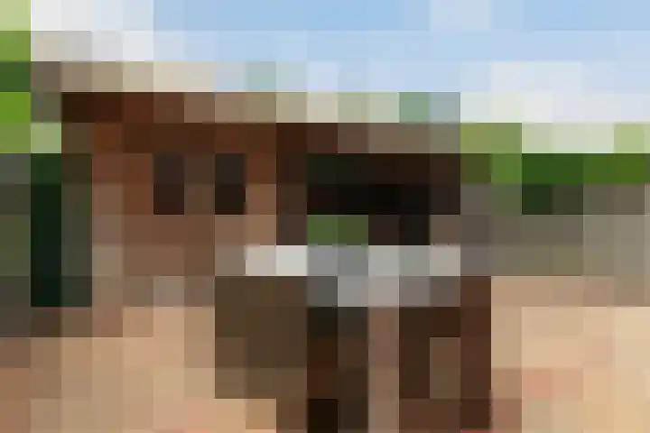 Apenijnenstraat 22 Woerden thumbnail 26