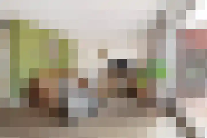 Apenijnenstraat 22 Woerden thumbnail 5