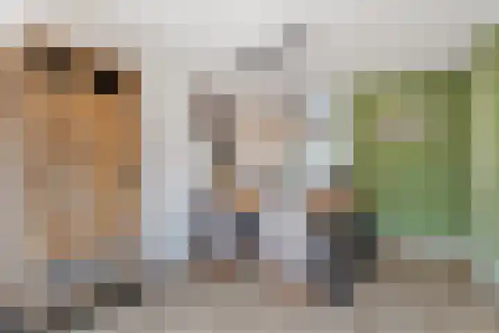 Apenijnenstraat 22 Woerden thumbnail 9