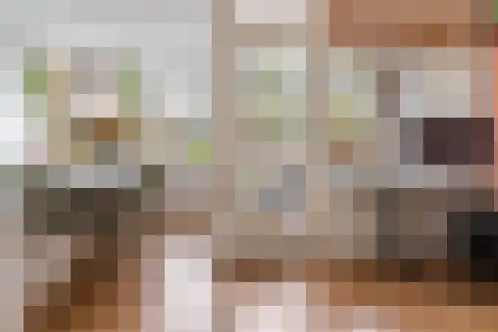 Apennijnen 29 Utrecht thumbnail 11
