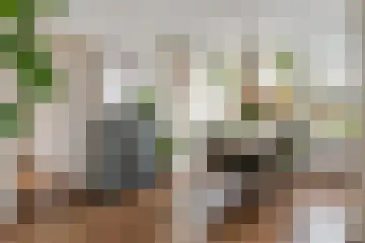 Apennijnen 29 Utrecht thumbnail 12