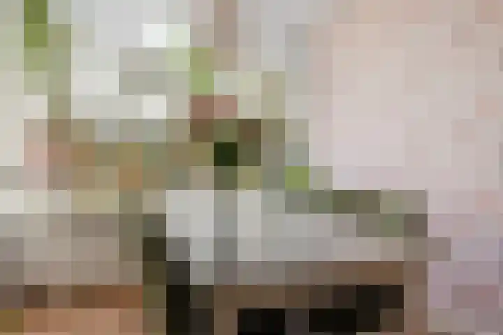 Apennijnen 29 Utrecht thumbnail 13