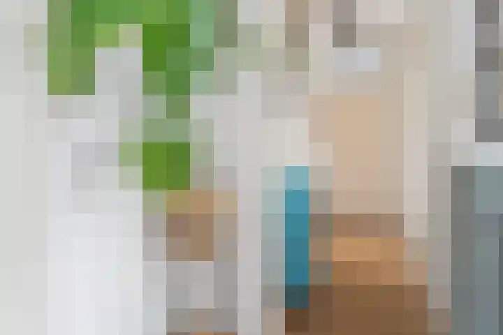 Apennijnen 29 Utrecht thumbnail 16