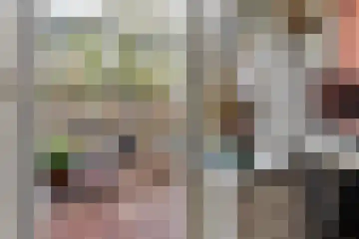 Apennijnen 29 Utrecht thumbnail 25