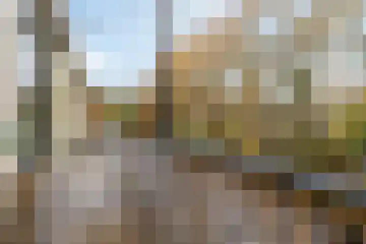 Apennijnen 29 Utrecht thumbnail 28