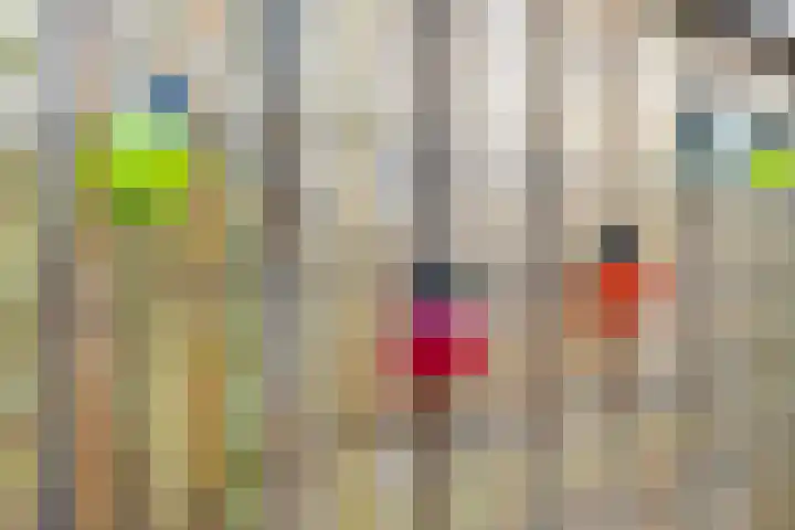 Apennijnen 29 Utrecht thumbnail 29
