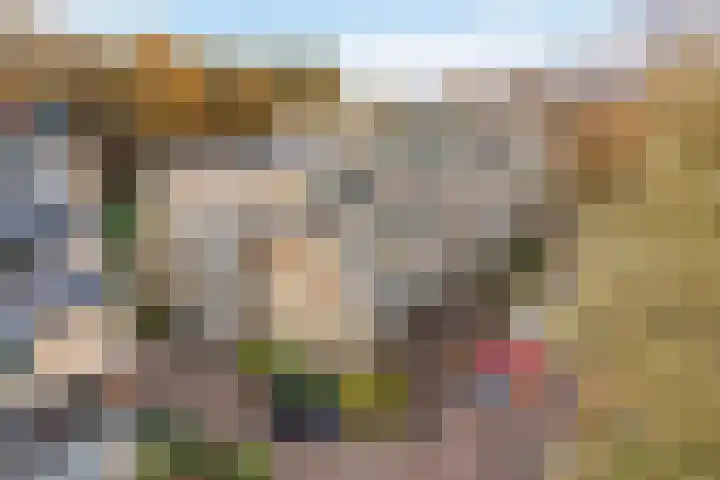 Apennijnen 29 Utrecht thumbnail 4