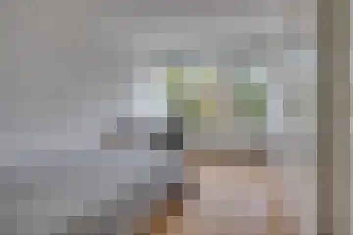 Apennijnen 41 Utrecht thumbnail 10