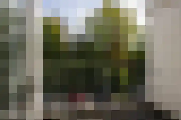 Apennijnen 41 Utrecht thumbnail 12
