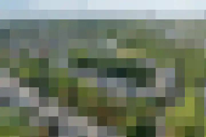Apennijnen 41 Utrecht thumbnail 16