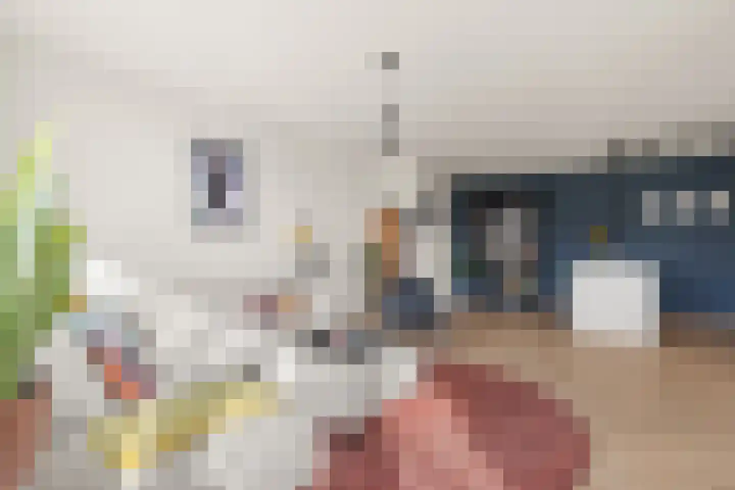 Apennijnen 47 Utrecht thumbnail 17