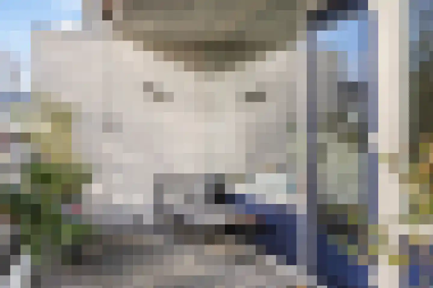 Apennijnen 47 Utrecht thumbnail 29