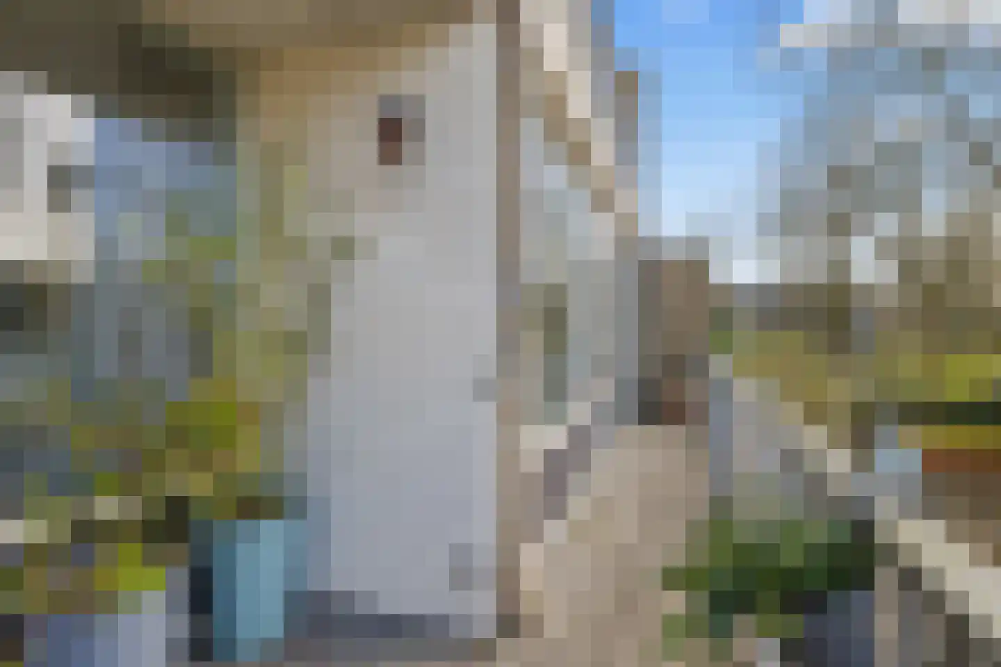 Apennijnen 47 Utrecht thumbnail 31