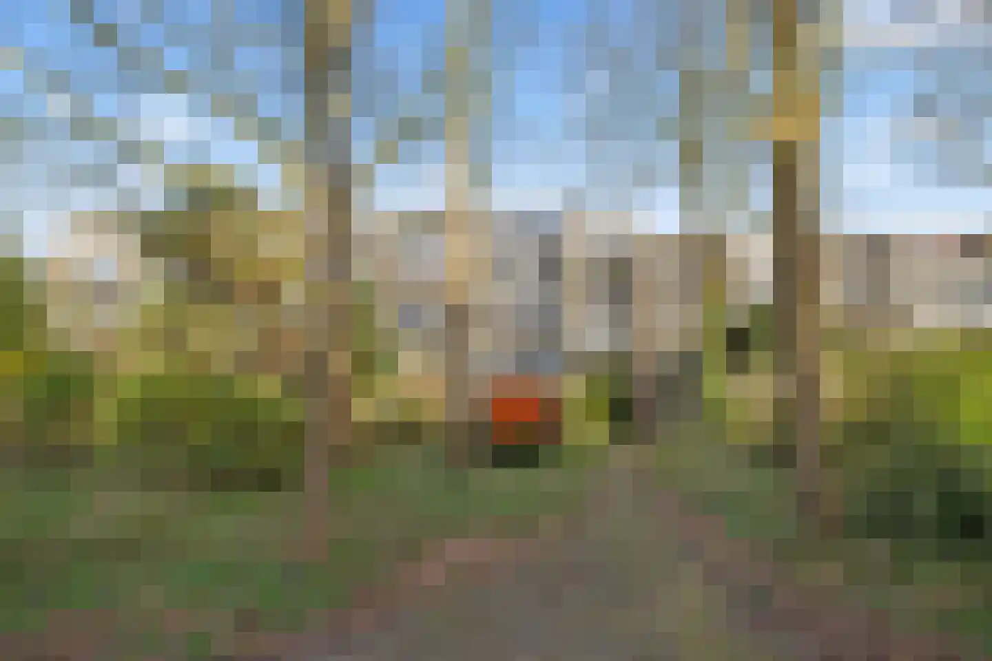 Apennijnen 47 Utrecht thumbnail 5