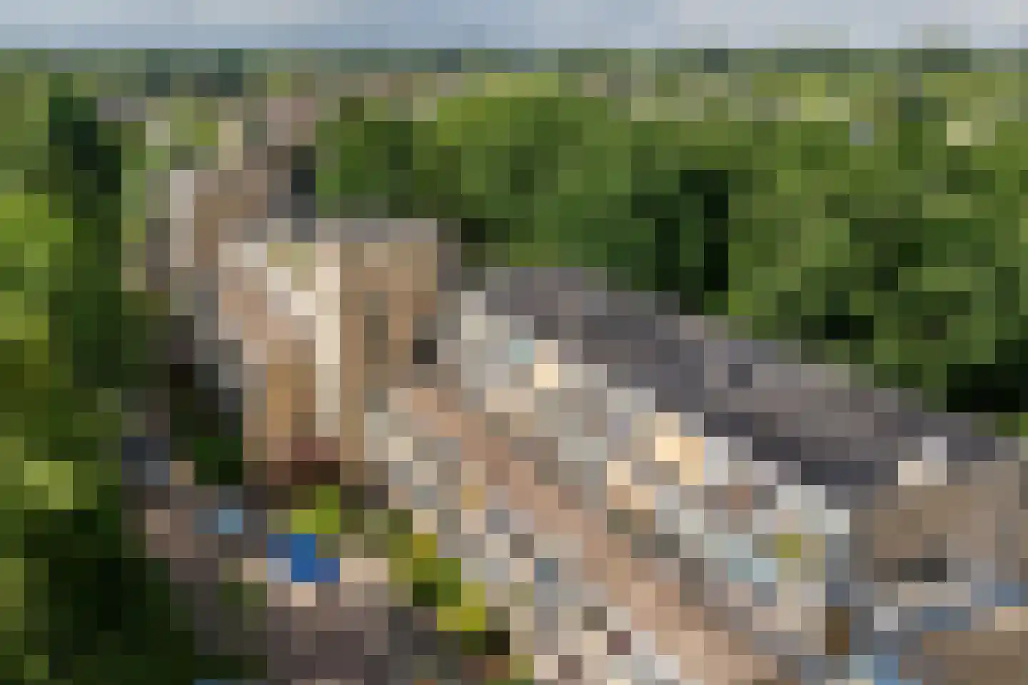 Apennijnen 55 Utrecht thumbnail 17