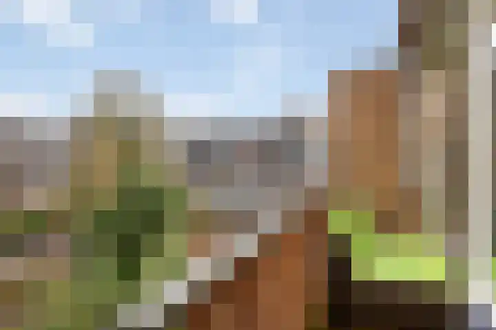 Apennijnen 57 Utrecht thumbnail 19