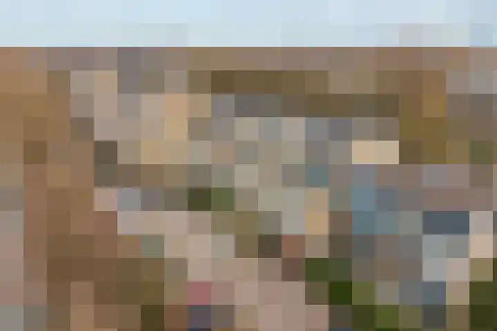 Apennijnen 57 Utrecht thumbnail 21