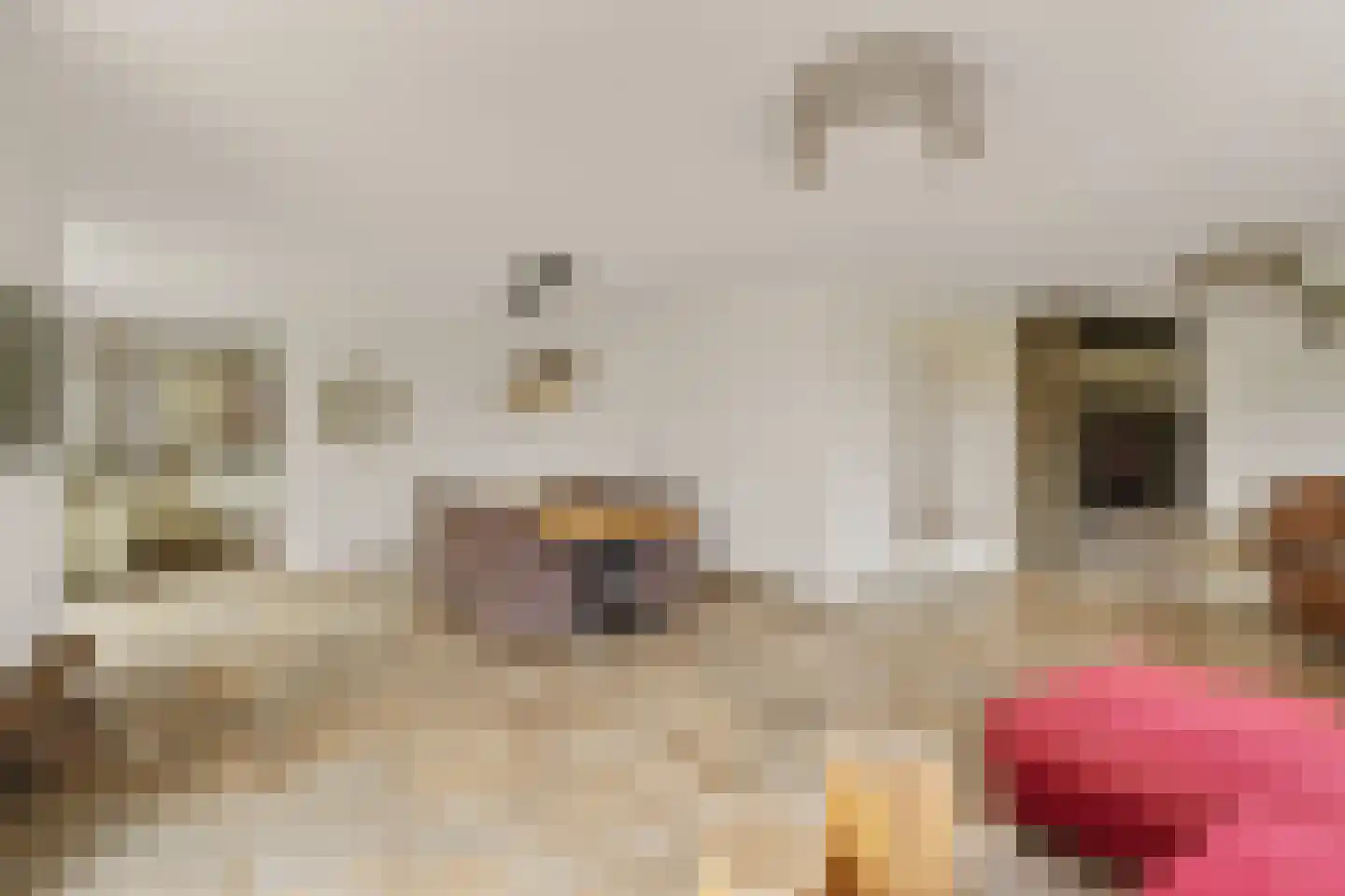 Aper Bouwmankade 11 Rotterdam thumbnail 10