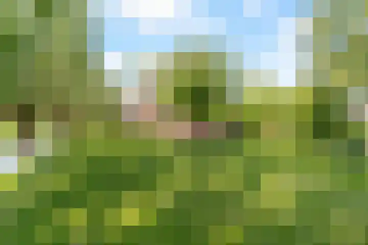 Aper Bouwmankade 25 Rotterdam thumbnail 43