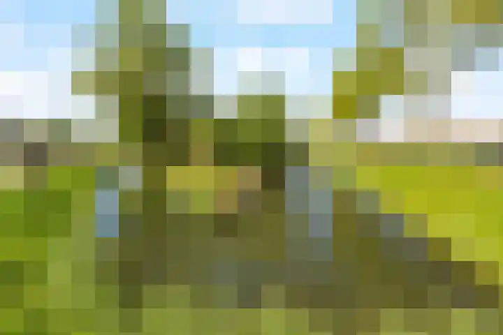 Aper Bouwmankade 25 Rotterdam thumbnail 49
