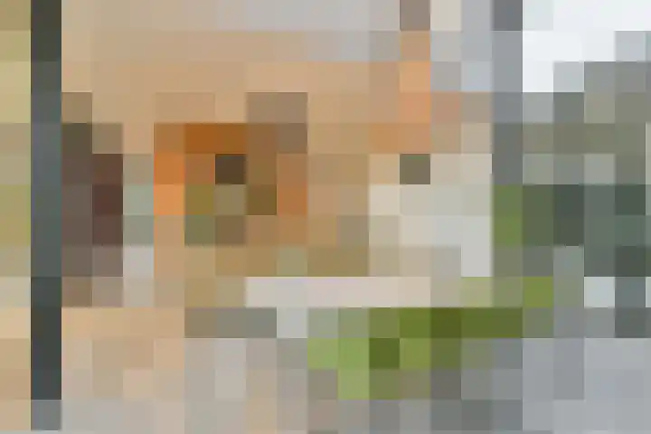 Aper Bouwmankade 41 Rotterdam thumbnail 19