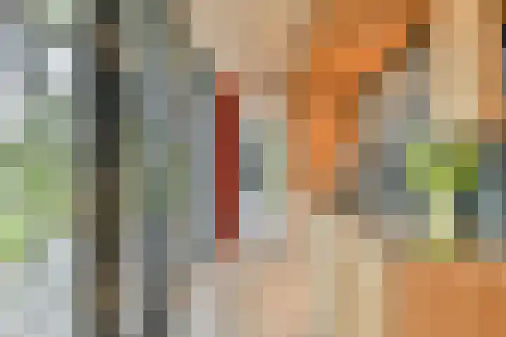 Aper Bouwmankade 41 Rotterdam thumbnail 21