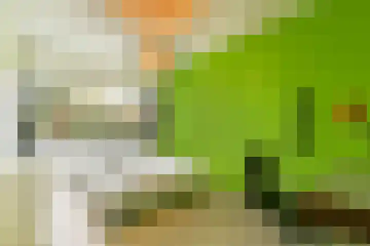 Aper Bouwmankade 41 Rotterdam thumbnail 38