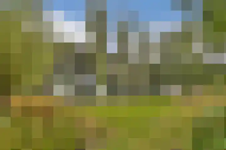 Aper Bouwmankade 41 Rotterdam thumbnail 57